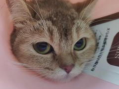 -纳吉亚猫专科动物医院博雅分院