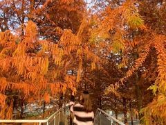 -长春市南湖公园