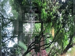 -乾园.魏庐湖景餐厅(花港店)