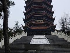 -铁山坪森林公园