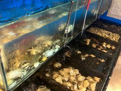 -海玥荟海鲜姿造自助餐厅(欧罗巴广场店)