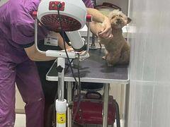 -宠颐生动物医院·小陆分院