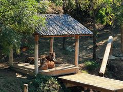 -石家庄市动物园