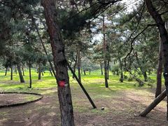 -沈阳市东陵公园