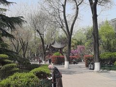-莲湖公园