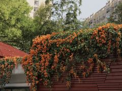 -琴亭湖公园