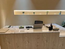 -隐逸SPA