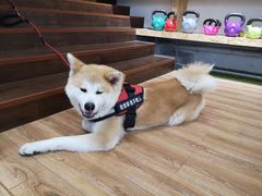 -YCHL Studios健身工作室(市二宫店)