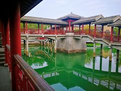 -四季春