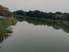 -海珠湖公园