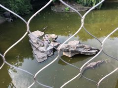 -南昌动物园