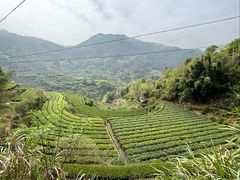 -杨家堂村