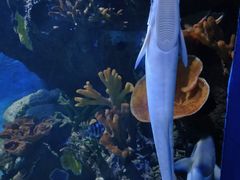 -多彩贵州城极地海洋世界