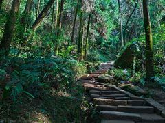 -青城山