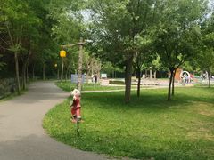 -西部长青自然儿童乐园