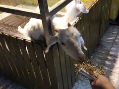 iphone_upload_pic-上海大自然野生昆虫馆