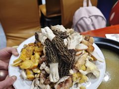 -菌之家·专业纯野生菌火锅·特色炒菌
