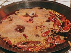 -朱光玉火锅馆(正弘城店)