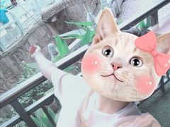 -渔太泰漓江小馆·广西融合菜(西街店)