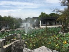 -八大山人梅湖景区