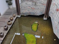 -几荷·恰似故人来(秀水广场店)