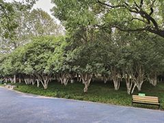 -范蠡湖公园