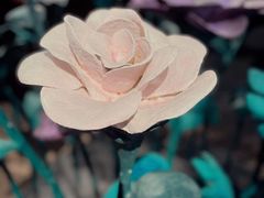 -Nathalie Djurberg与Hans Berg“牛皮纸包裹的月亮”-Prada荣宅当季展览