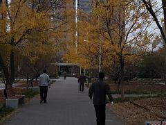 -丰台花园