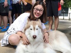 -TrueLove @ Neverland (Husky Cafe)