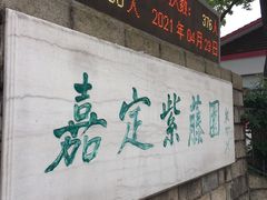 -嘉定紫藤园