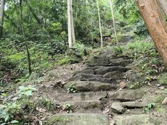 -源泉冷水鱼庄(小鱼洞店)