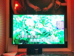 -自由港KTV(王子公主金平店)