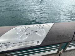 -星光大道