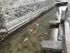 -前童古镇