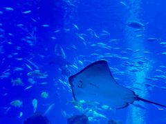 -成都浩海立方海洋公园