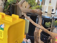 -耳艺采耳·足疗·按摩SPA(市桥店)