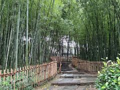 -乌镇东栅景区