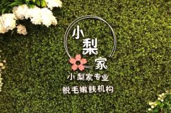 -小梨·OndaPro·专业脱毛连锁机构