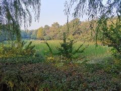 -云岗森林公园