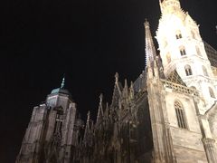 -斯蒂芬主教座堂(Stephansdom)