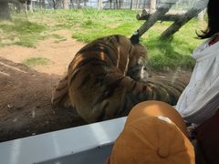 -西霞口神雕山野生动物世界