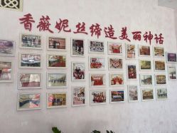 -香薇妮丝·定制减肥·身材管理