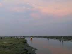 -北海金海湾红树林生态旅游区