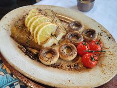 -一棵树·意大利西餐厅One Tree(新城店)