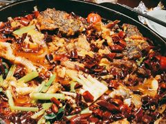 -老板恋上鱼(荣盛广场店)