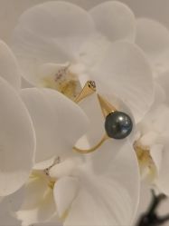 -YIN隐(西岸中環精品店)