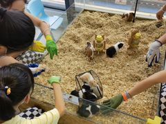 -怪兽屋·羊驼·猫咖·狗咖(俊华广场店)