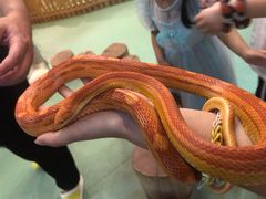 -藦茜花园宠物主题亲子互动体验馆(国顺东路店)