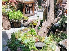 -尽善百年古院餐厅(王家老宅店)