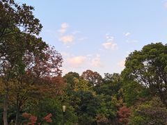 -宝界山林公园